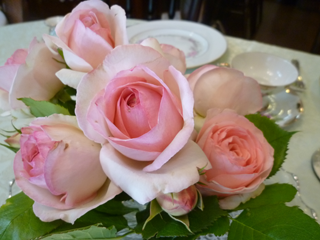 �s�G�[���E�h�E�����T�[��