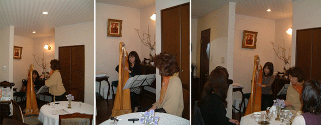 �n�[�v���t��i