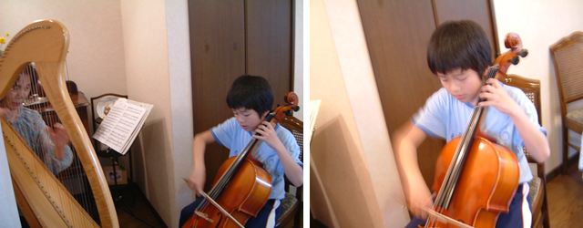 �n�[�v���t��i