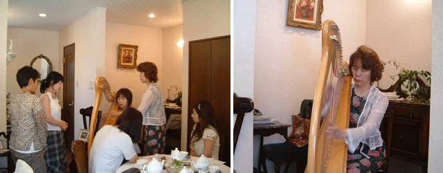 �n�[�v���t��i