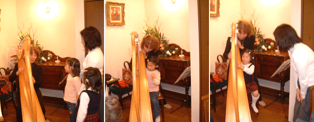 �n�[�v���t��i