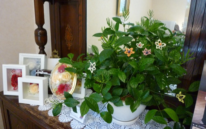 5月サロンの様子