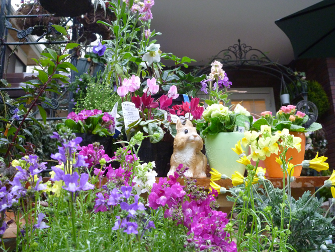 2月サロンの様子