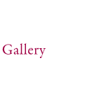 ギャラリー
